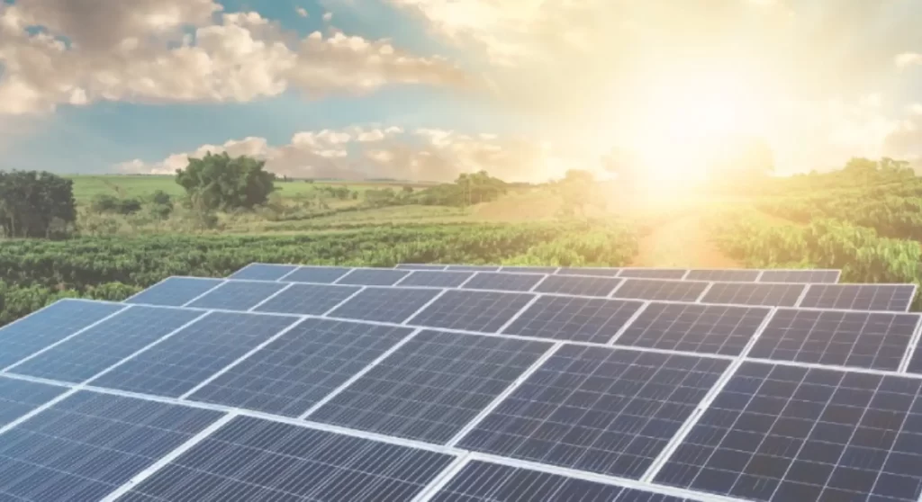 How-to-Choose-the-Solar-Company-for-Your-Needs-1.jpg