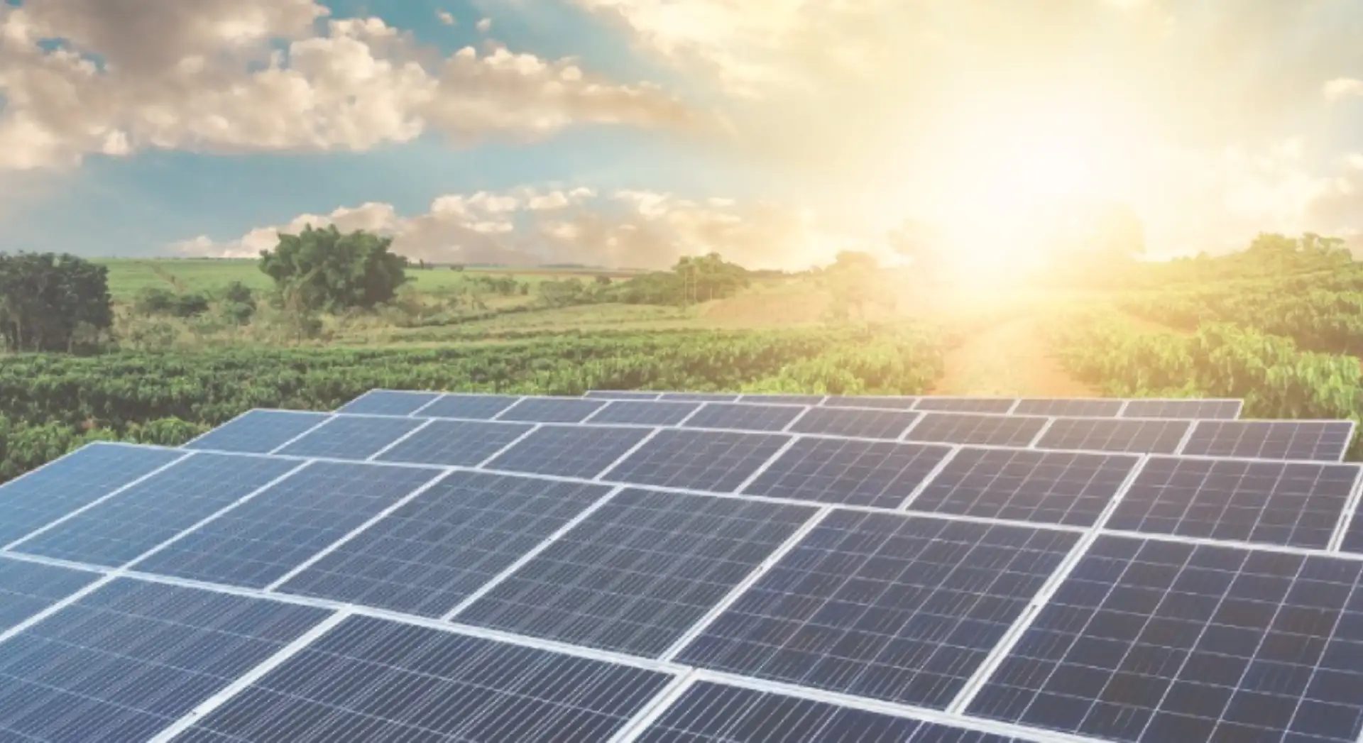 How-to-Choose-the-Solar-Company-for-Your-Needs-1.jpg