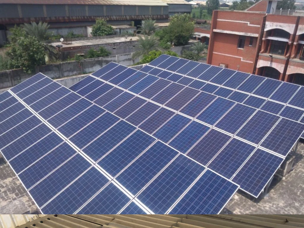 P.S. Daima and Sons (1)