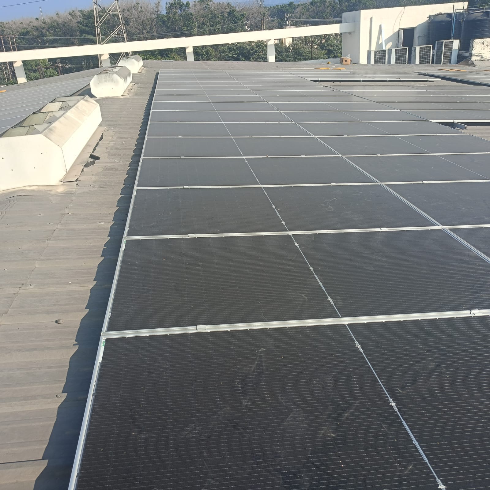 WhatsApp-Image-2025-02-17-at-12.30.31-PM-1 (1)